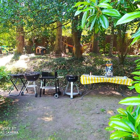 "La Selvetta" Bed And Breakfast Buguggiate Exterior photo